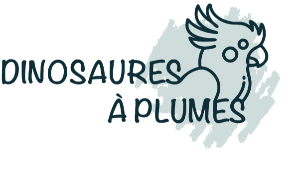 Aller au portfolio geek